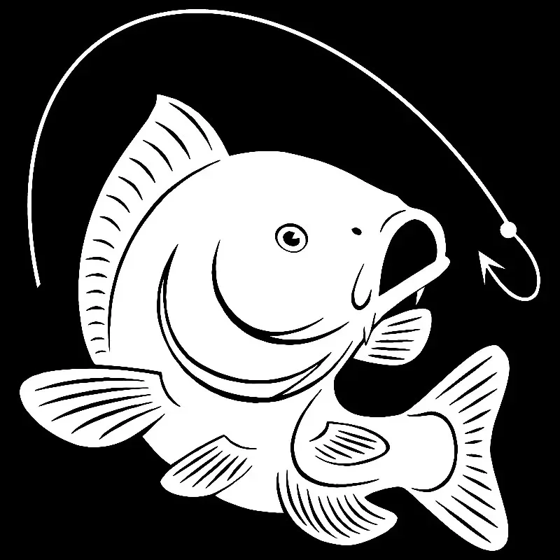 Carp Fishing Hook Decal Decora - مراجعة Fishing Hook وسعره
