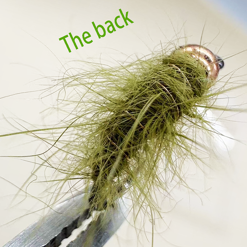 5PCS Fly Fishing Nymphs Wet Fl - مراجعة Fishing Hook Barbless وسعره