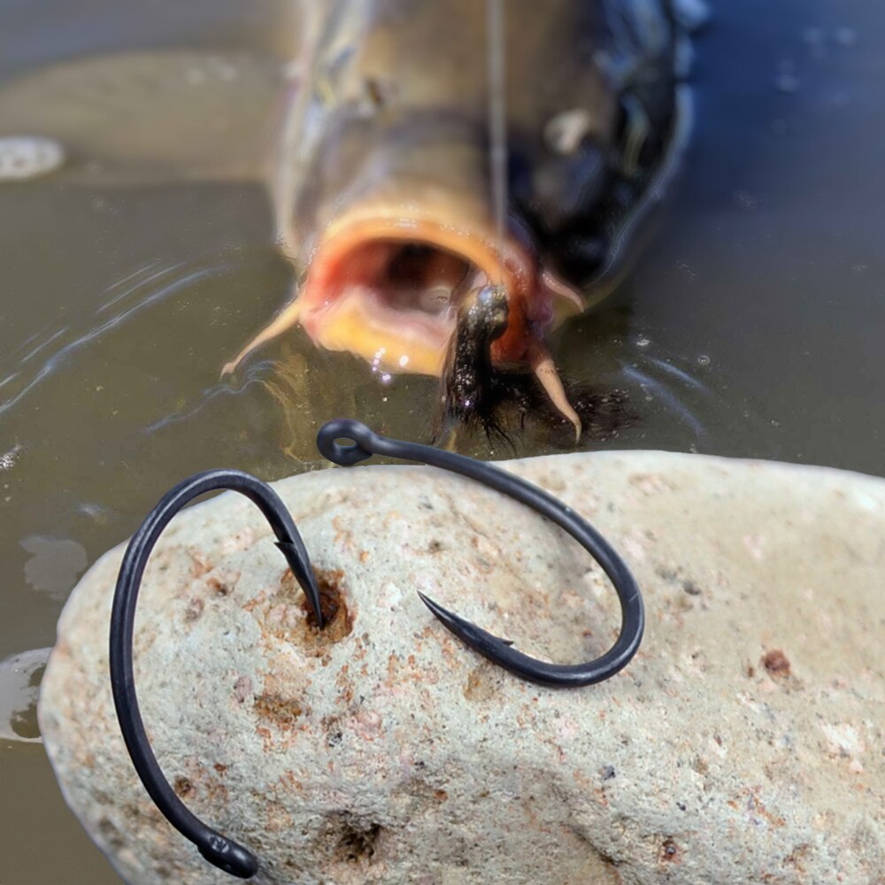 Hirisi Carp Fishing Hooks 50pc - مراجعة Fishing Hook Assortment وسعره