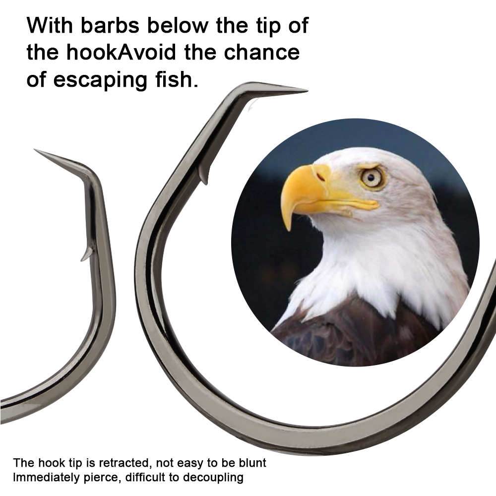 FTK Fishing Hooks Fishing Octo - مراجعة Fishing Hook Circle وسعره