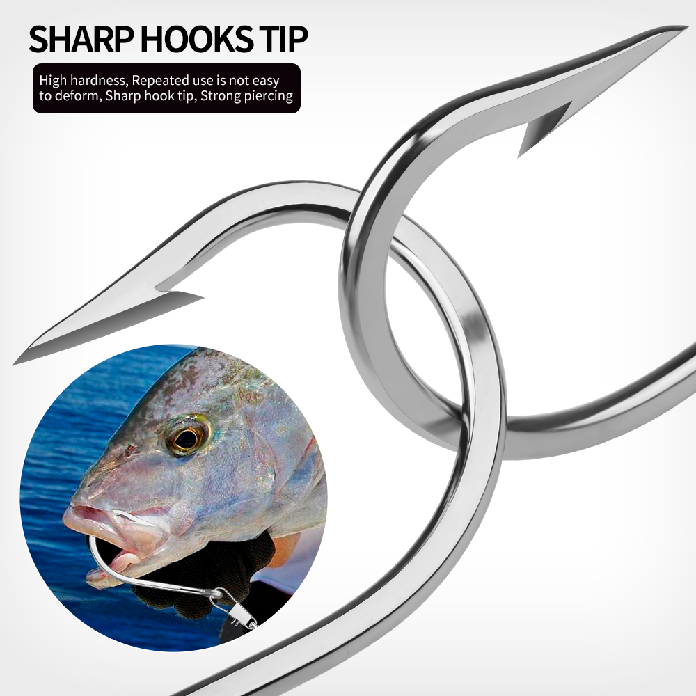 PROBEROS 5pcs Stainless Steel  - مراجعة Fishing Hook Circle وسعره
