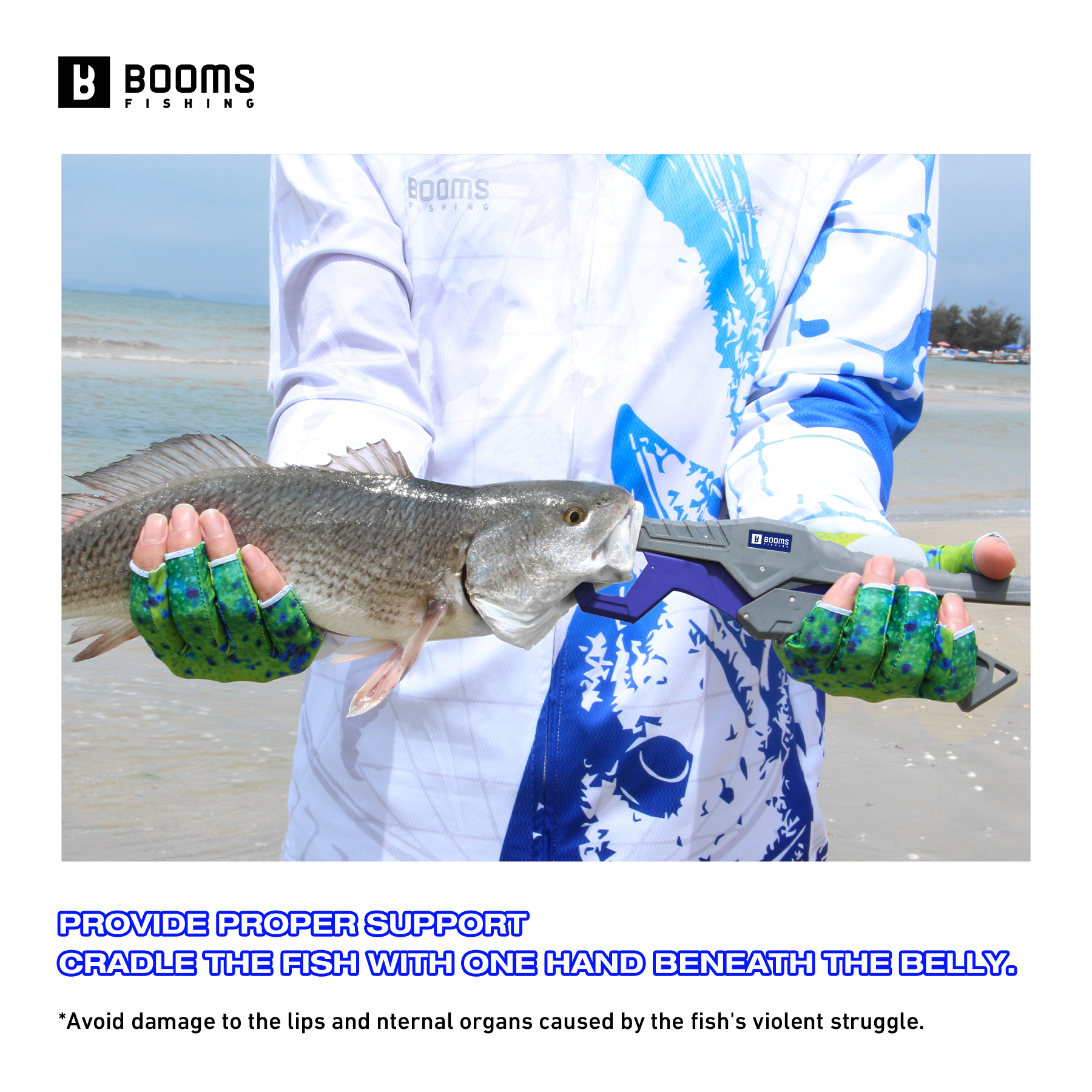 Booms Fishing 23cm Pliers and  - مراجعة Fishing Hook Sharpener وسعره